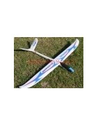 Electric gliders