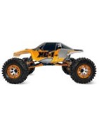 Axial AX-10 Scorpion