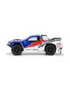 Short Course Trucks bodies