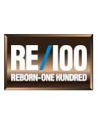 RE/100 Reborn One Hundred